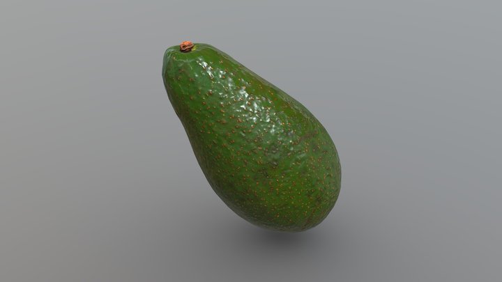 Avocado fruit 3D Model