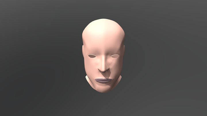 Head Progress No Hair 3D Model