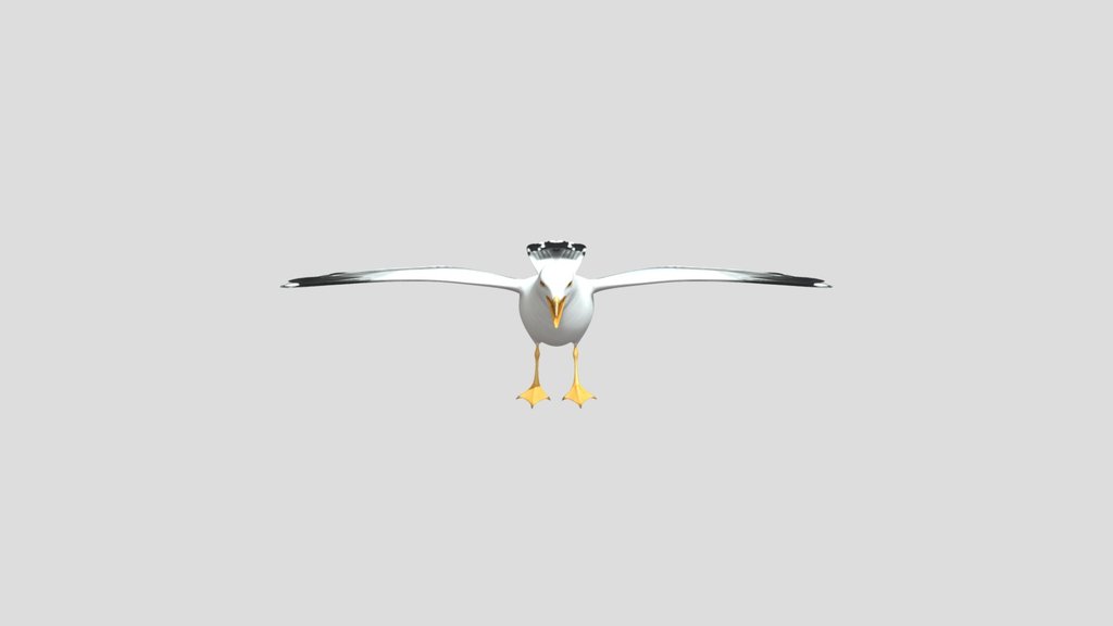 Seagull with Outstretched Wings