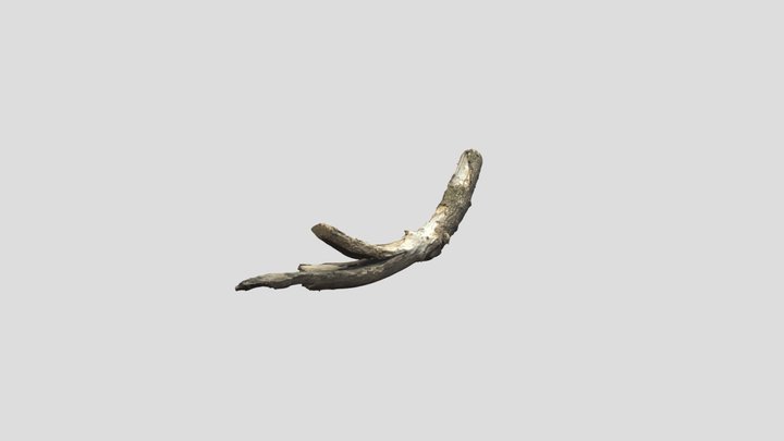 Kloda_copy1 3D Model