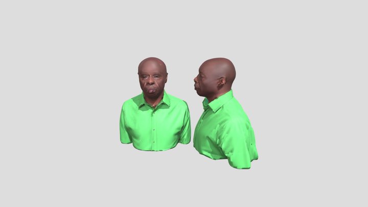 Riggy G in  a Green Shirt 3D Model
