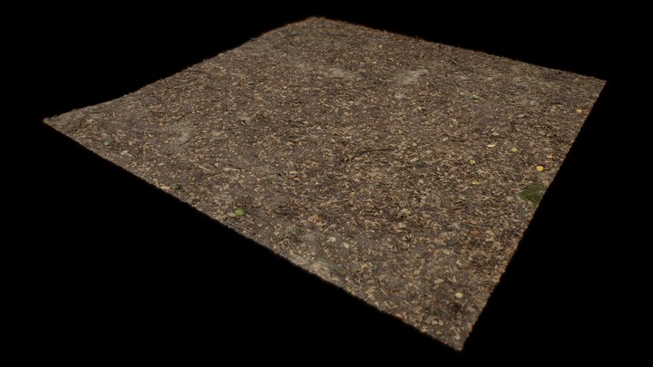forest ground 600k raw scan – Modello 3D gratuito STL