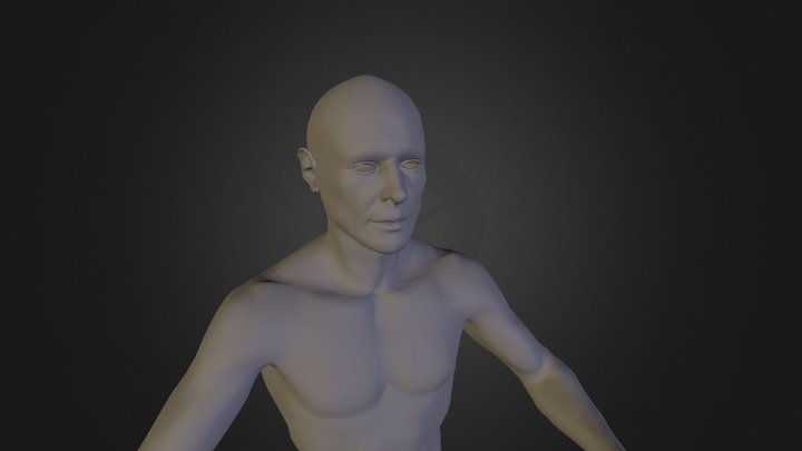body_geom.obj 3D Model