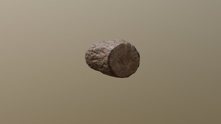 Wooden Log 3D Model