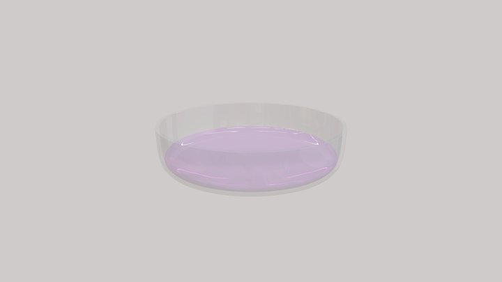 Glass dish 3D Model