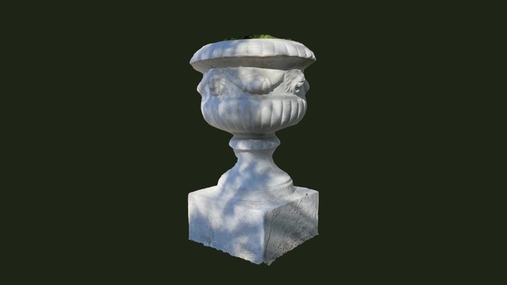 VAZON 3D Model