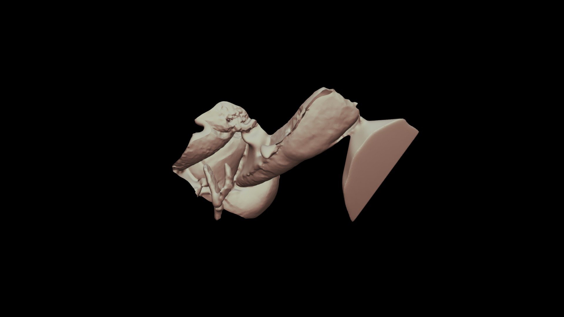 Sample Test