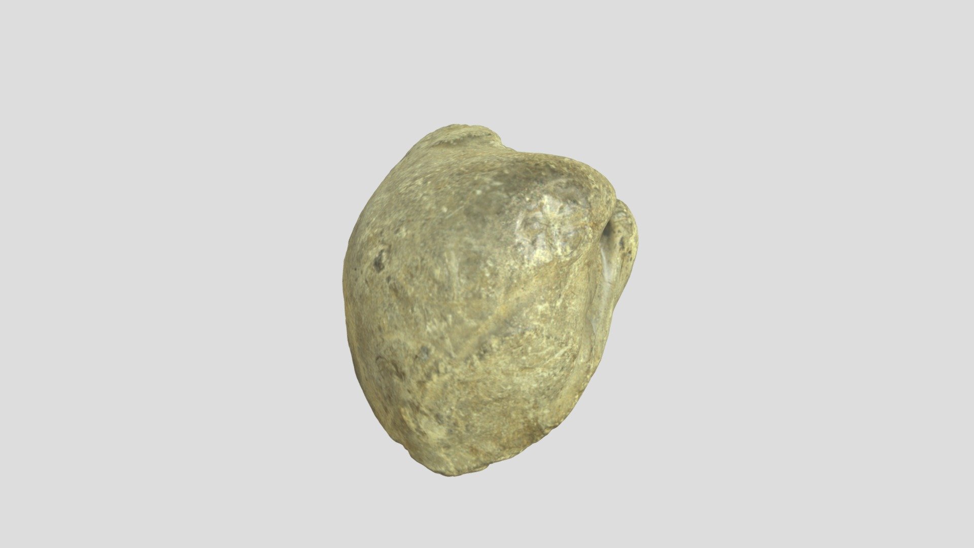 fossil5