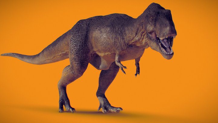 Tyrant King - Tyrannosaurus 3D Model