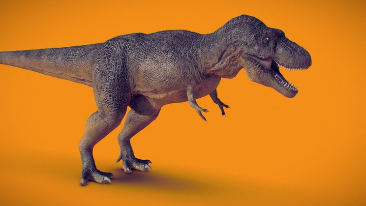 Tyrant King - Tyrannosaurus 3D Model