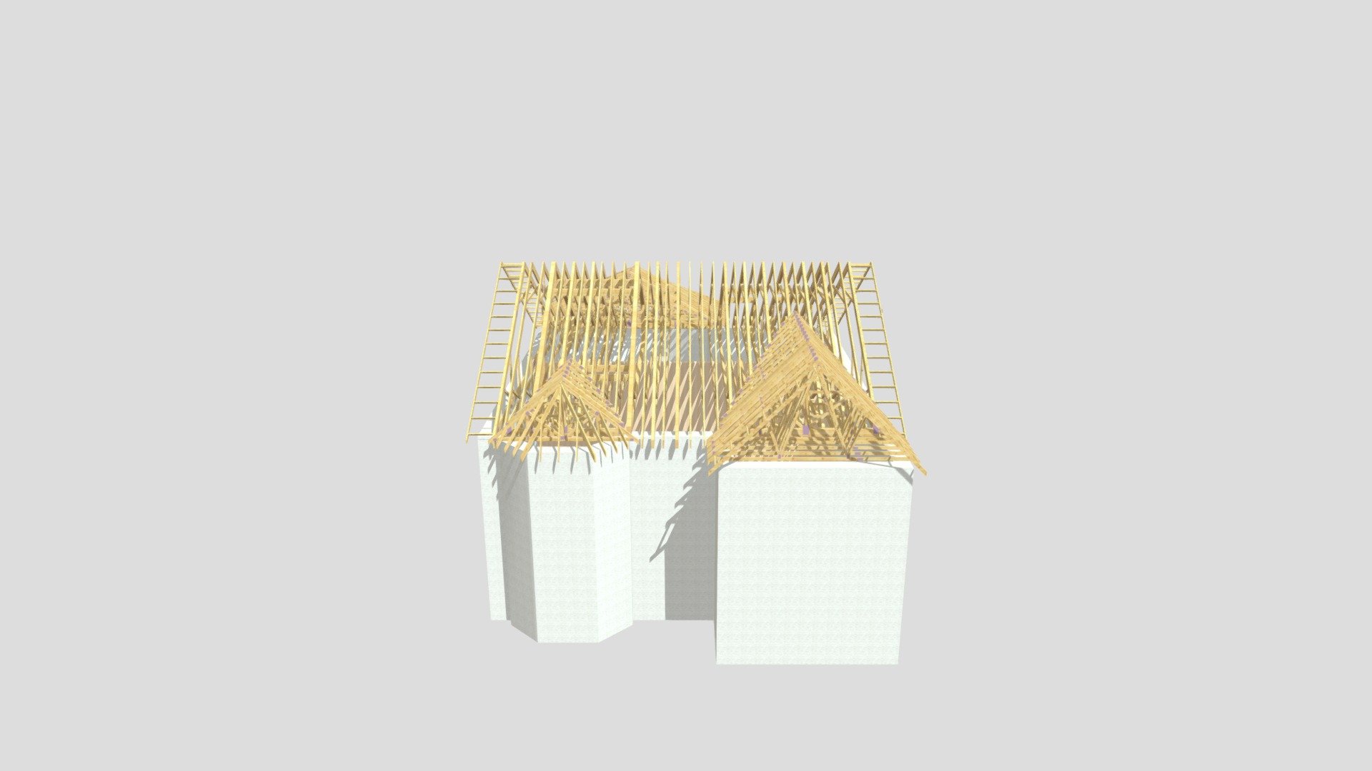 House Type C Foxrock REV A Attic Roof