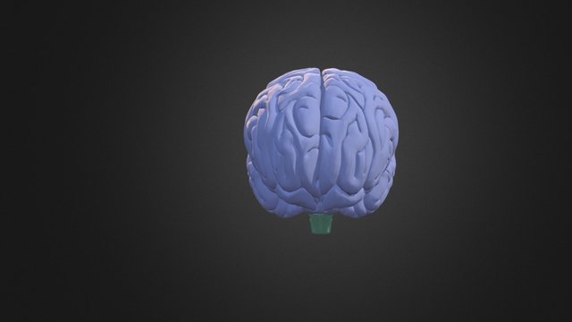 MOAH Color 3D Model
