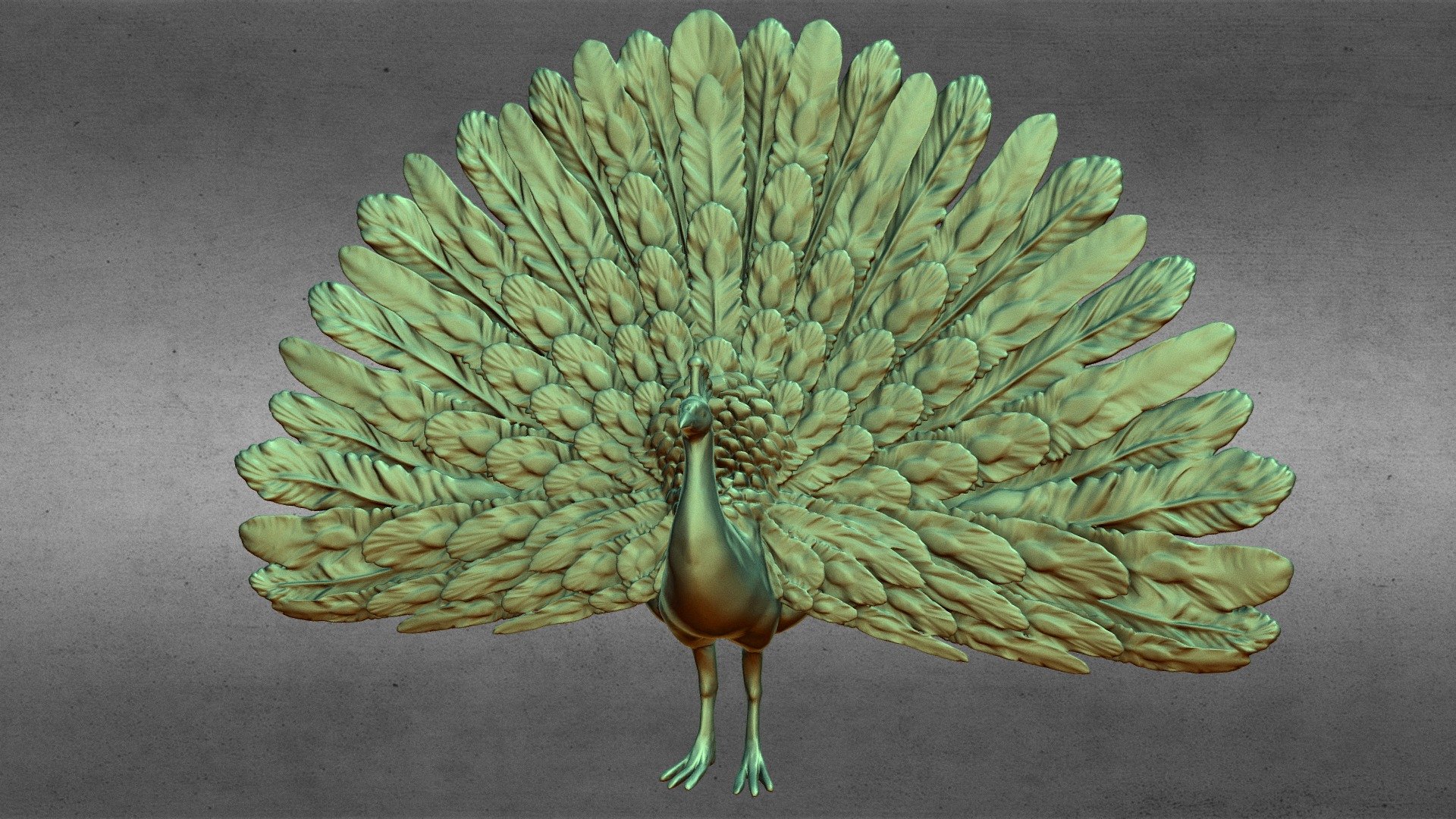 Peacock