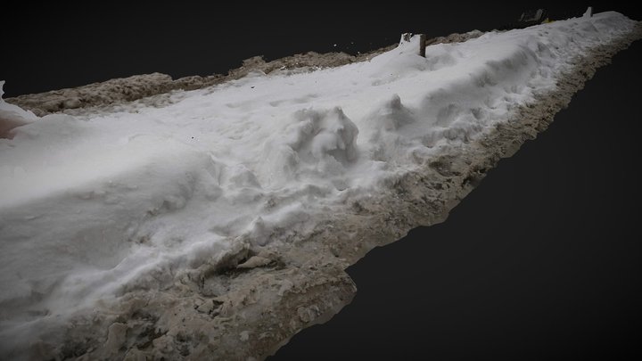 Snowed on sidewalk (typ 8) 3D Model