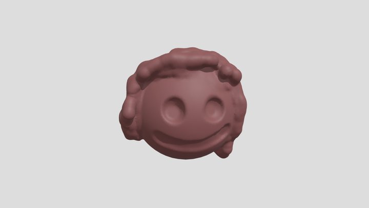 Face 3D Model