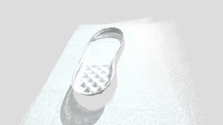 3D SOLE 3D Model