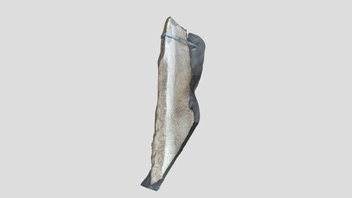 UCC Stone Corridor #1 3D Model