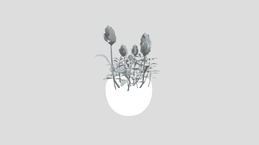 Plant Indian Lotus Pot Sml