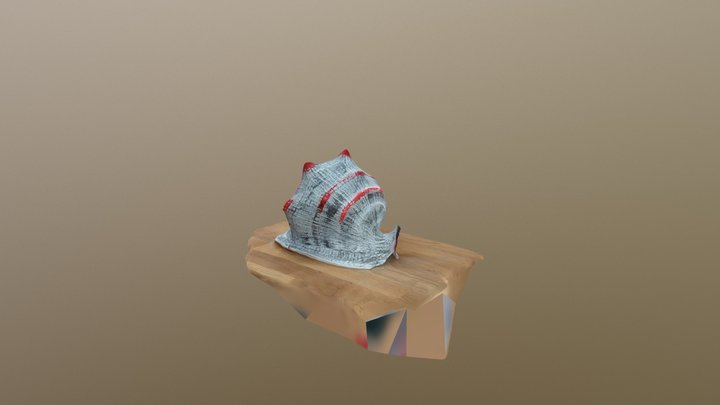 Test havskjell 3D Model