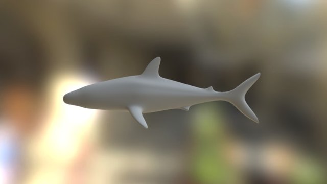 Sharkweek 3D Model