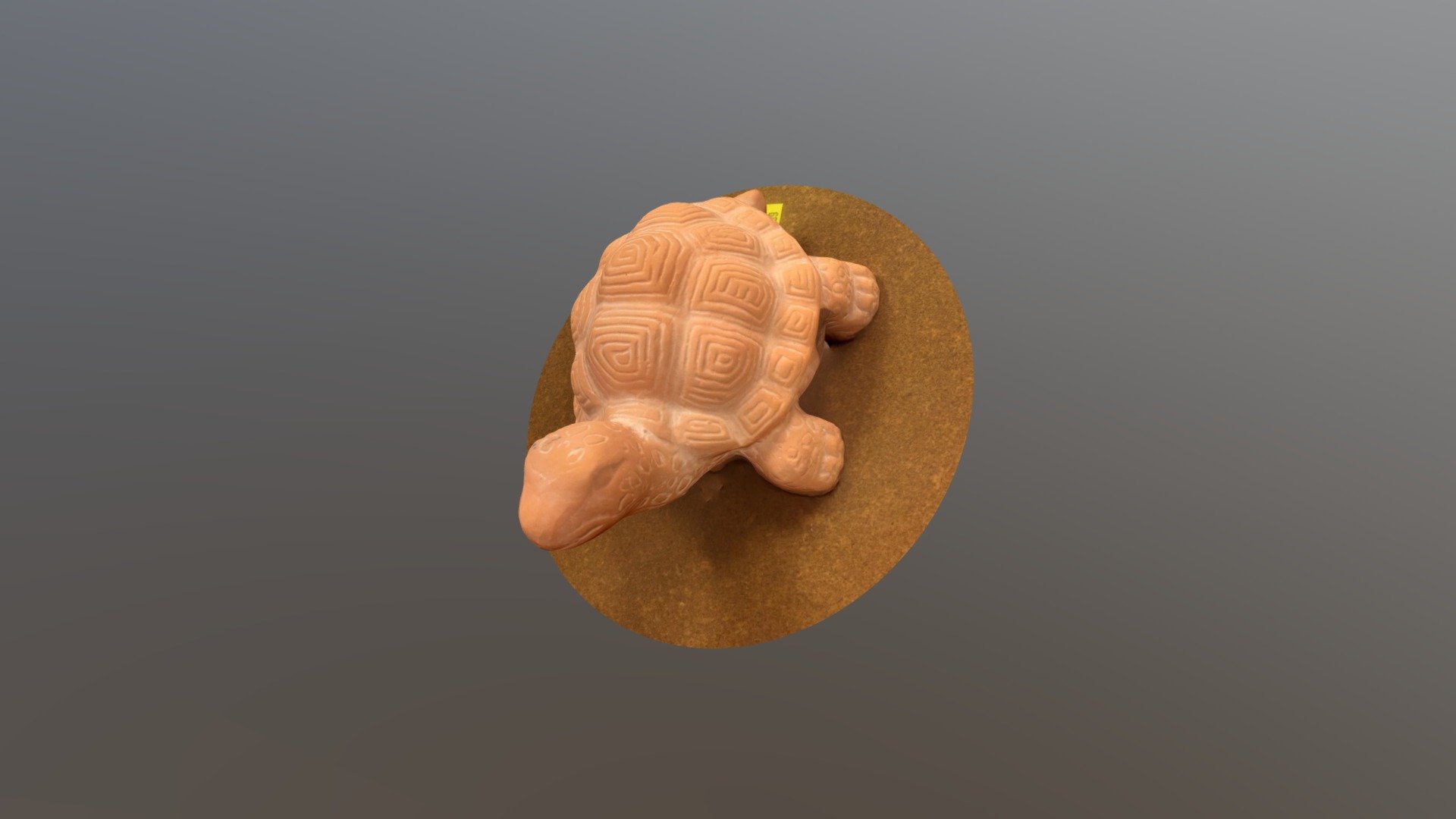 turt