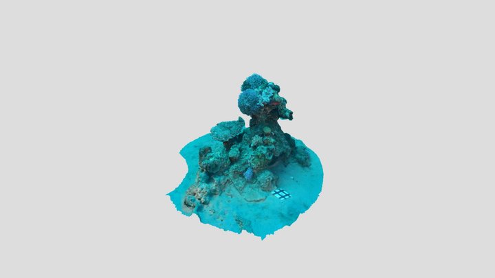Corals 15m Depth, EilatKssky 3D Model