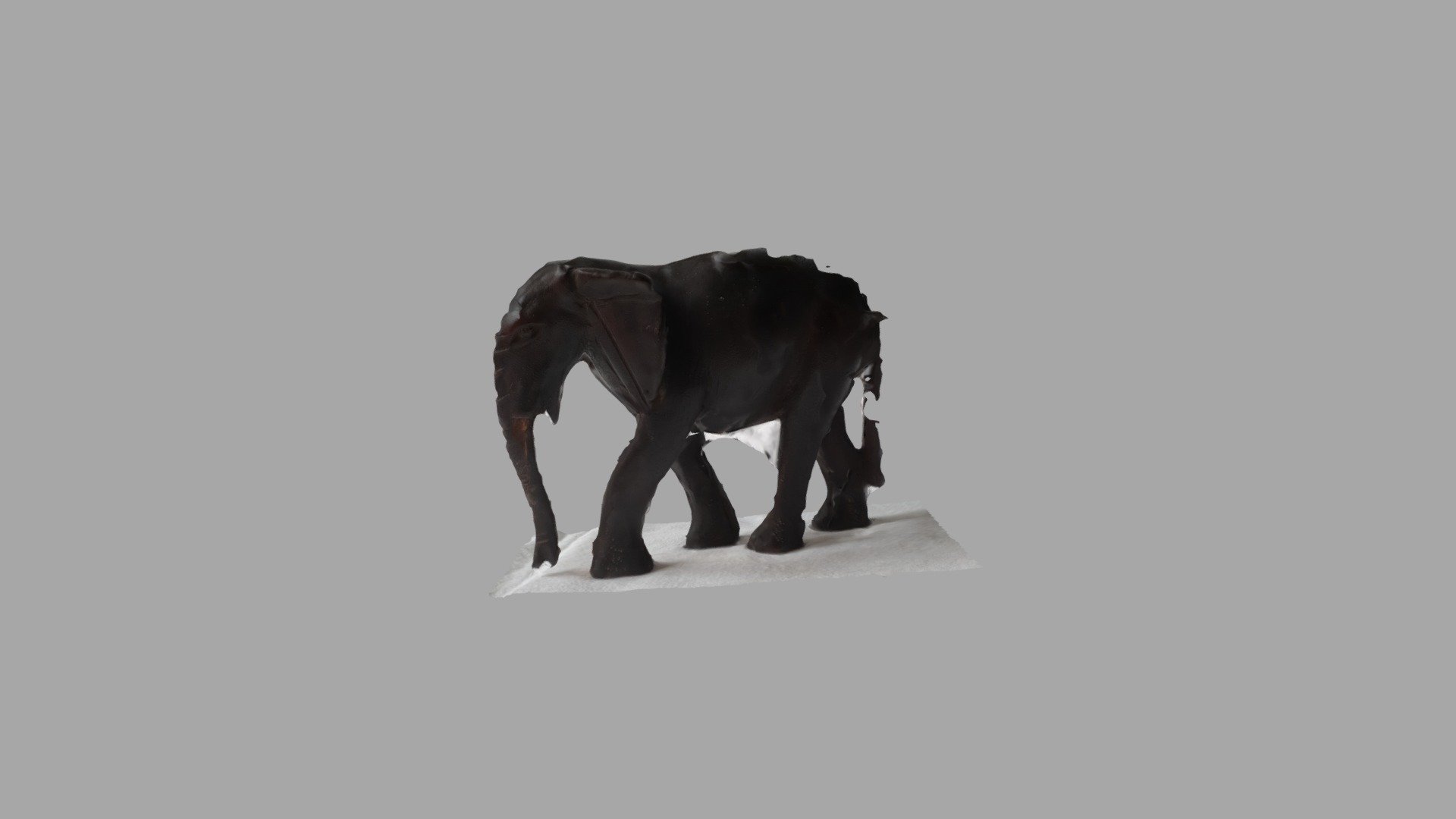 Fotogrametría - Elefante