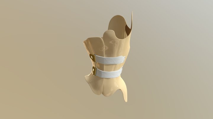 Corset 3D Model