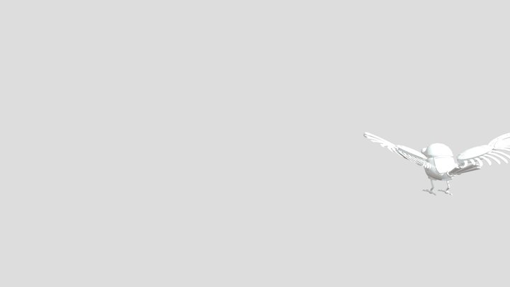5-24 Bird 3D Model