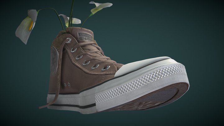 Shoe Planter - Freshly Planted/Watered 3D Model