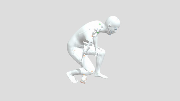 Skeleton for attack stance 3D Model