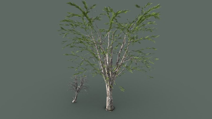 Lowpoly Tree Scan Pack 3: Black Walnut+Dead Tree – Modelo 3D gratuito STL
