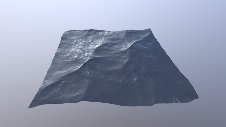 Ocean - Surface 3D Model