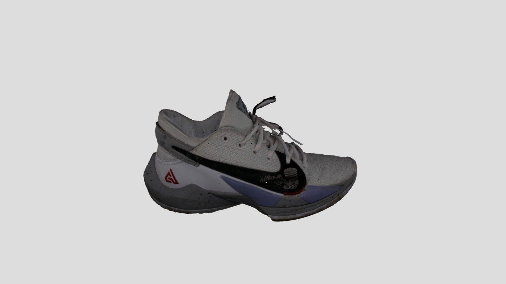 METASHAPE SHOE PROCESSED