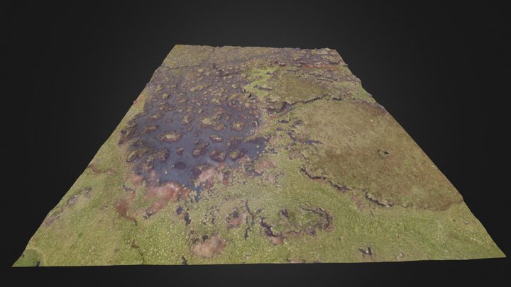 Degraded Blanket Bog 3D Model
