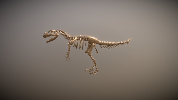 Dinosaur Skeleton | Game Ready High Detail Prop – Modello 3D gratuito STL