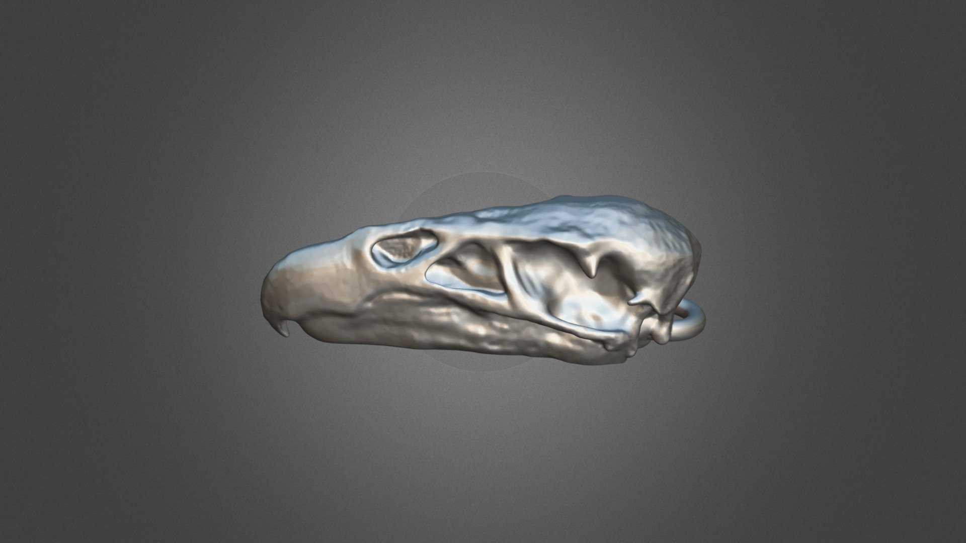 California Condor Pendant - 3D model by Imagine That ...