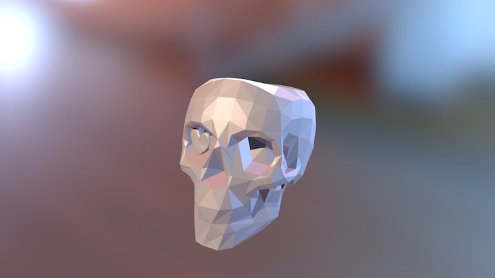 Skull6 3D Model