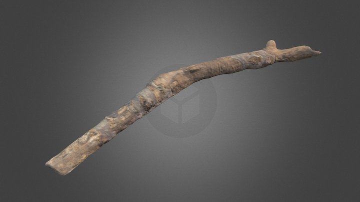 Photoscanned Stick 3D Model