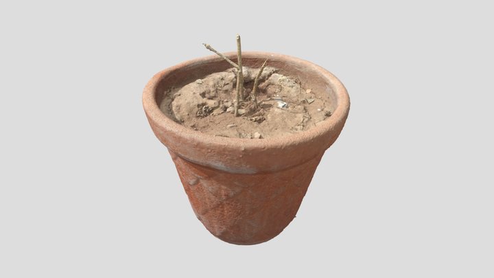 Pot 3D Model