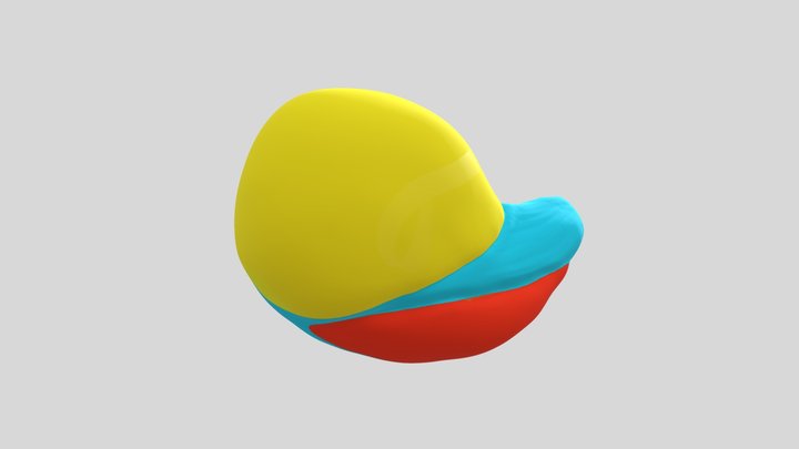 Scaphoid 3D Model