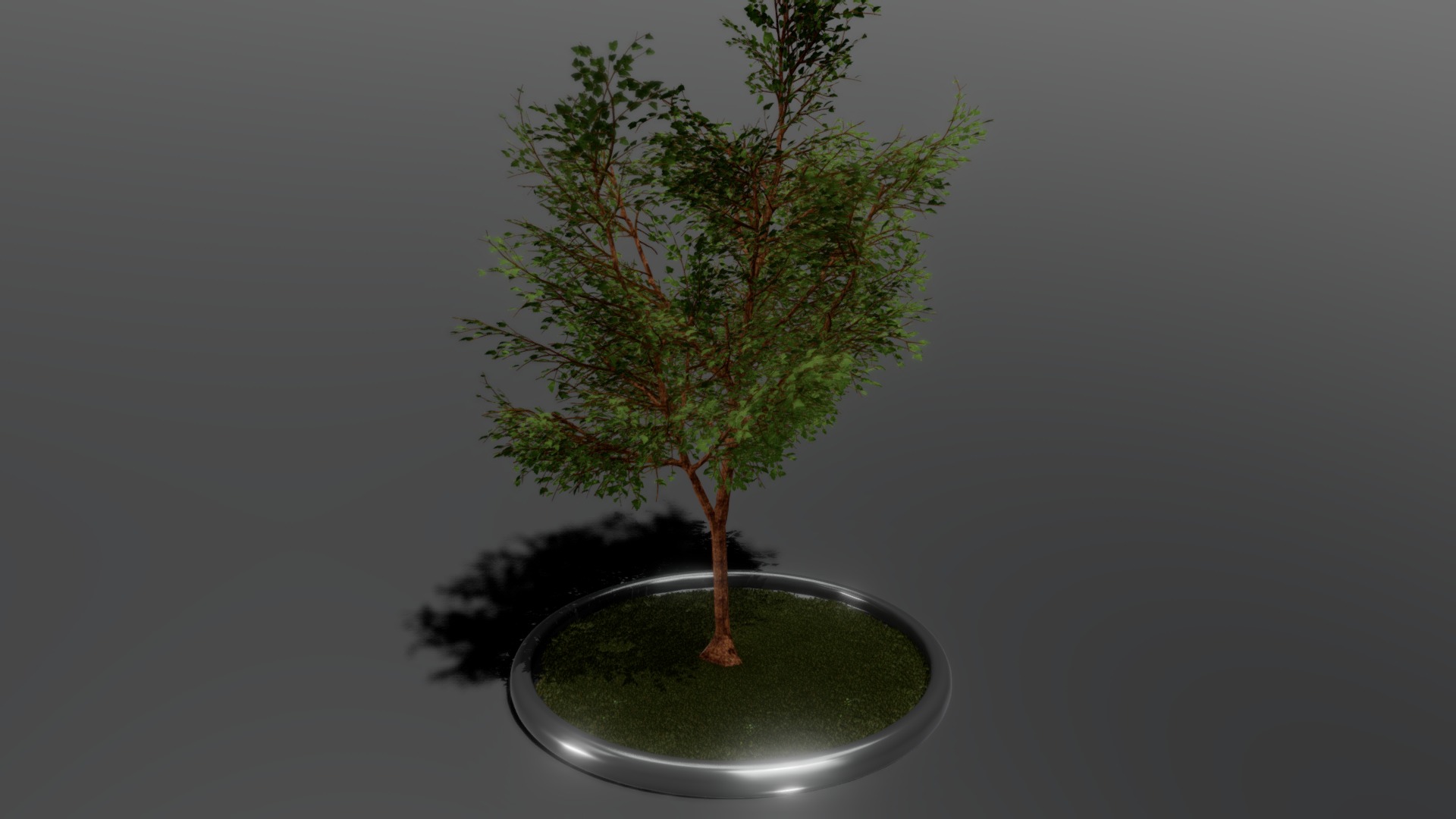 3D model Tall Tree - This is a 3D model of the Tall Tree. The 3D model is about a tree in a pot.