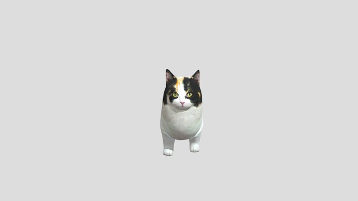 Munchkin_ Cat 3D Model