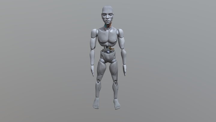Robot 3D Model