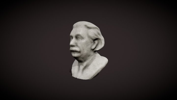 EinsteinBust-Ani 3D Model