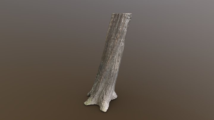 Black Tupelo Trunk – Modèle 3D gratuit STL