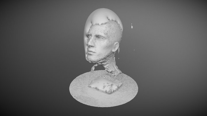 Mannequin Head - #2 - Failure 3D Model