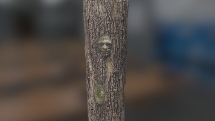 Horror-log-wd-001
