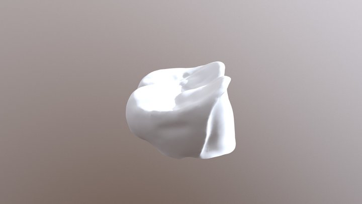 2018-02-09 00004-037-16-coping Cad 3D Model
