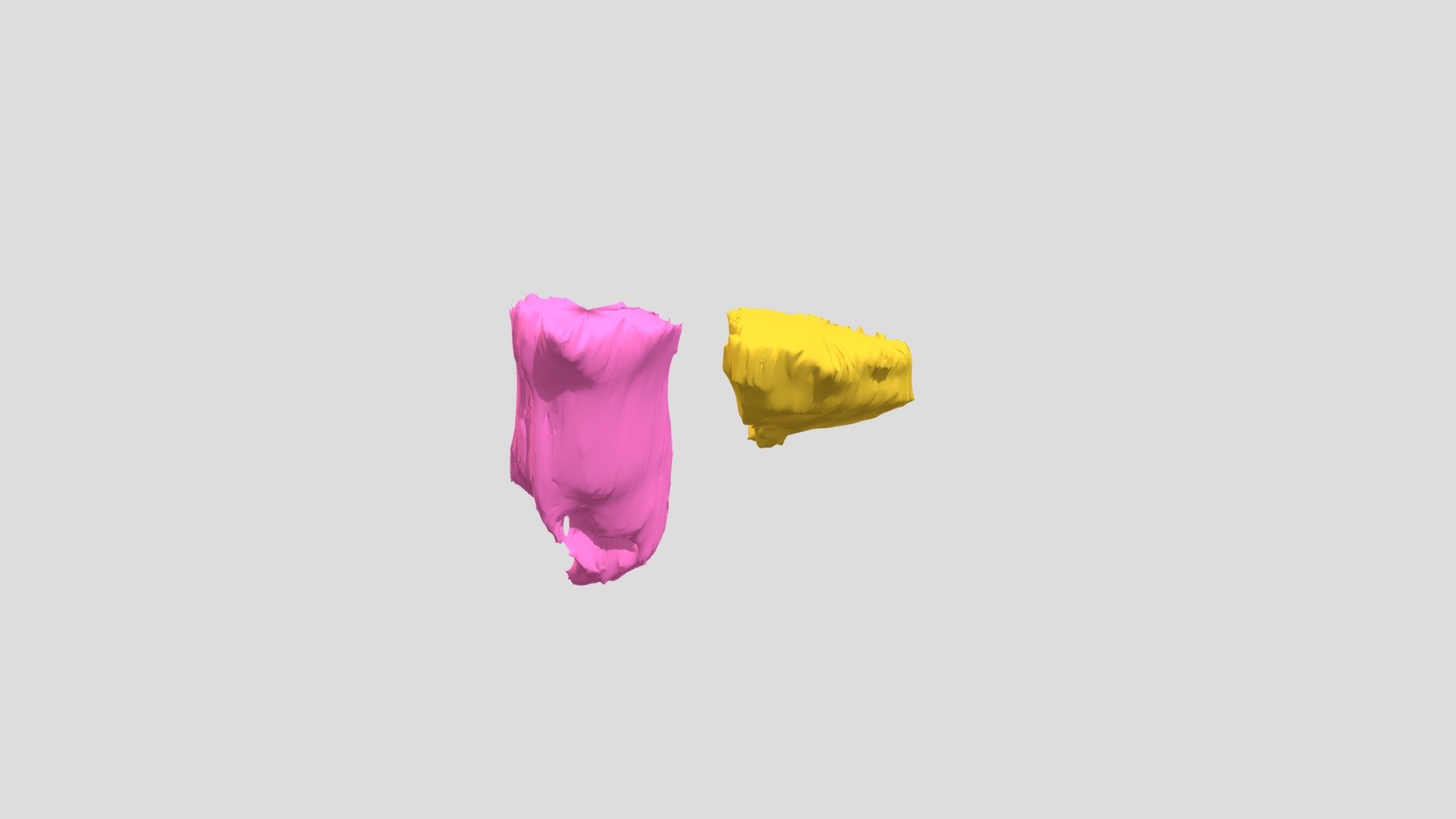 Bladder and Rectum